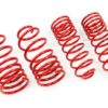 Performance Springs - MTSXBM191