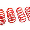 Performance Springs - MTSXAU020