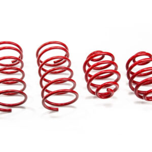 Performance Springs - MTSXAU028