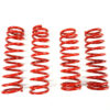 Performance Springs - MTSXHO062