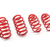 Performance Springs - MTSXVW381